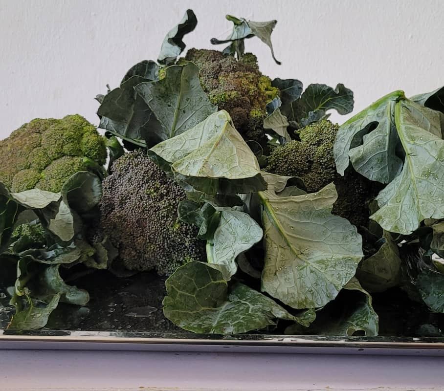 "Fuel⛽ your body with our deep-emerald broccoli-featuring dense, tender florets & crispy sstalks that deliver a robust, earthy flovor & a powerful boost of vitamins in every crunchy, farm-fresh bite".