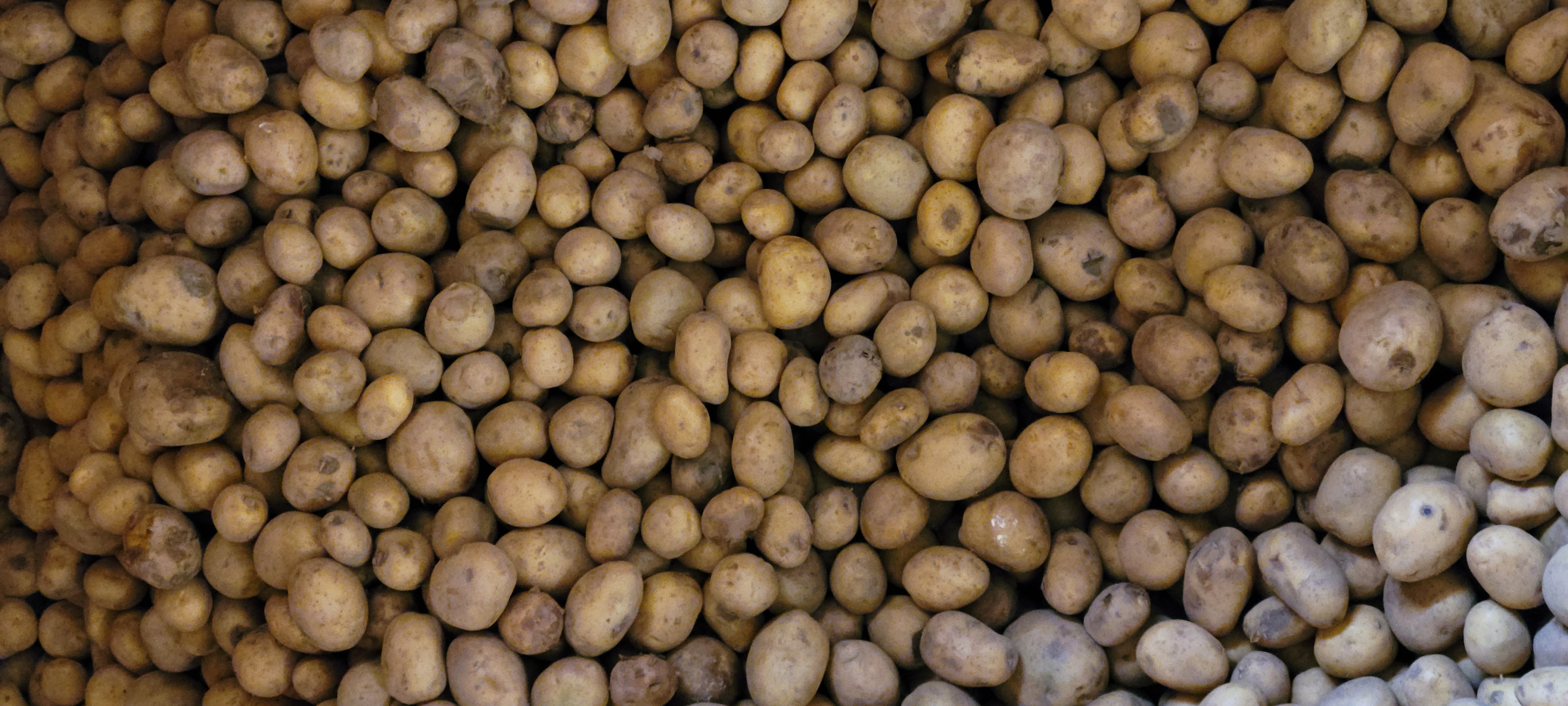 Meet the foundation of true comfort food. Whether mashed, roasted, or in a hearty stew, the Irish potato 🥔  brings a uniquely earthy, butterly flavour & wonderful creamy texture that's truly good.