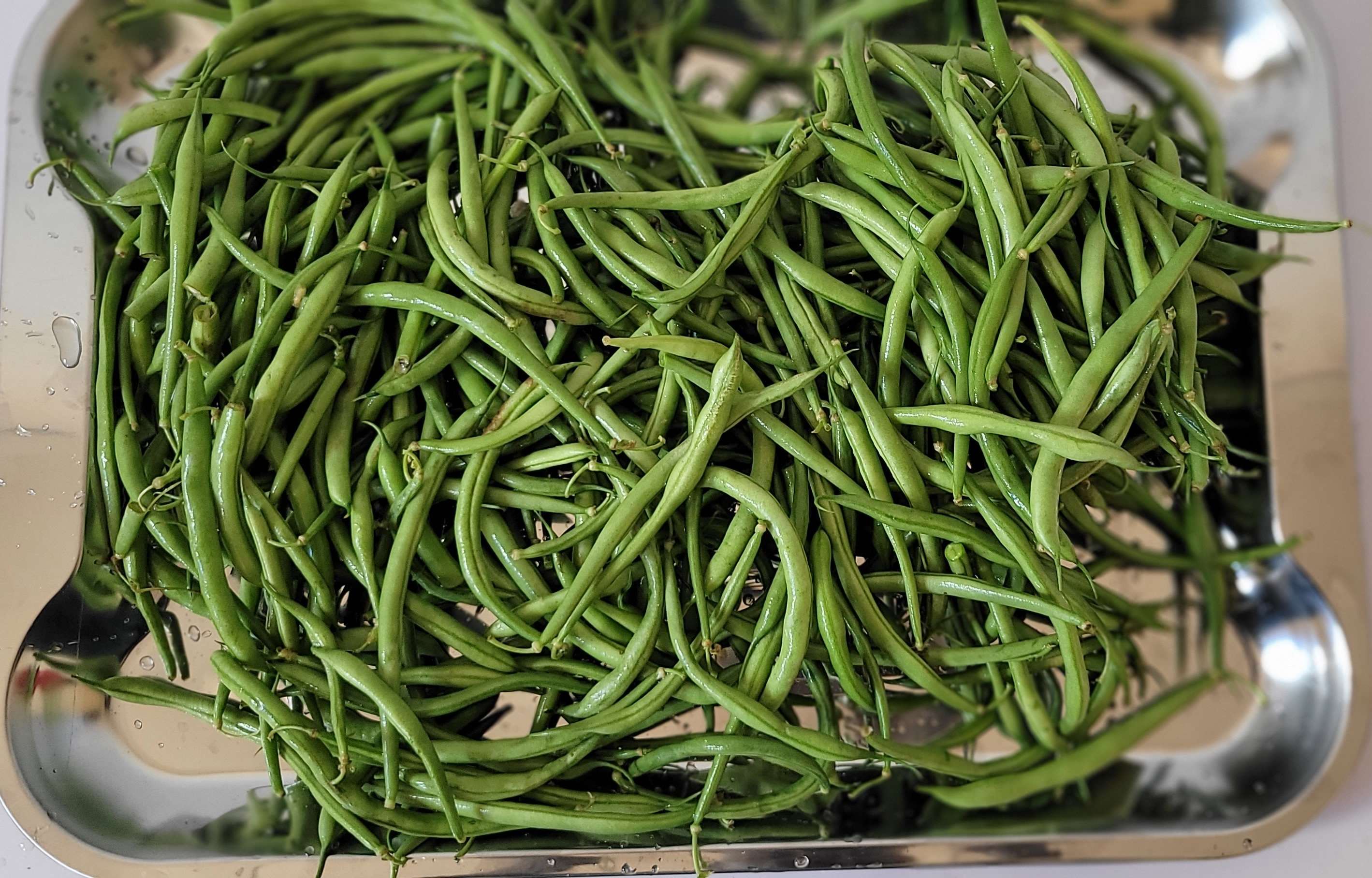 "Elevate your table with our snap-fresh green beans slender, vibrant pods harvested at their peak for a tender-crisp texture and a clean, garden-sweet flavor that is packed with essential fiber. "