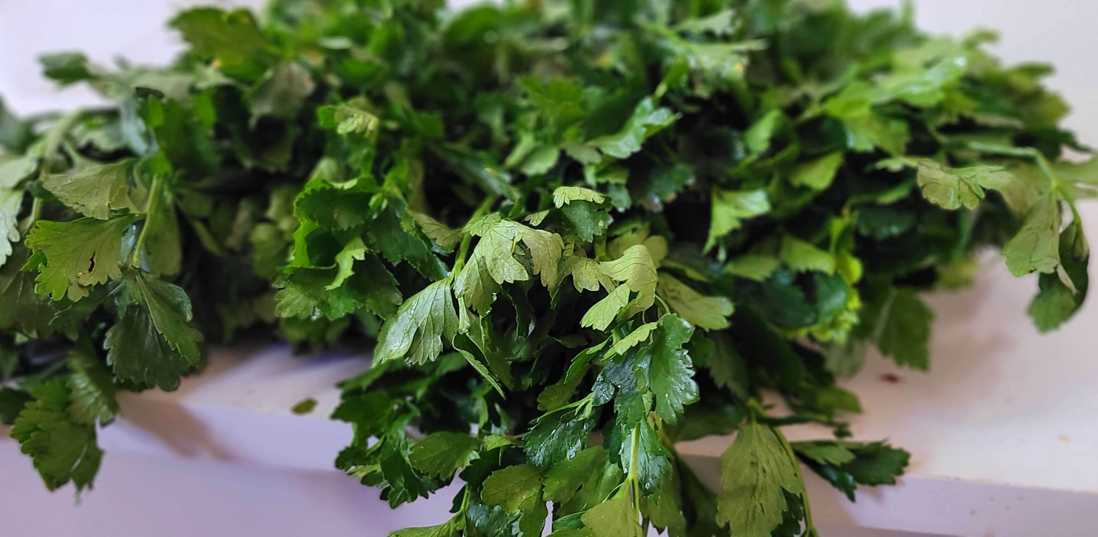 "Crunch into pure refreshment with our crisp, stalky celery-boasting a vibrant green snap and a hydrating, mild flavor that makes it the perfect fiber-rich base for your juices🍹, soups🍲 and snacks.