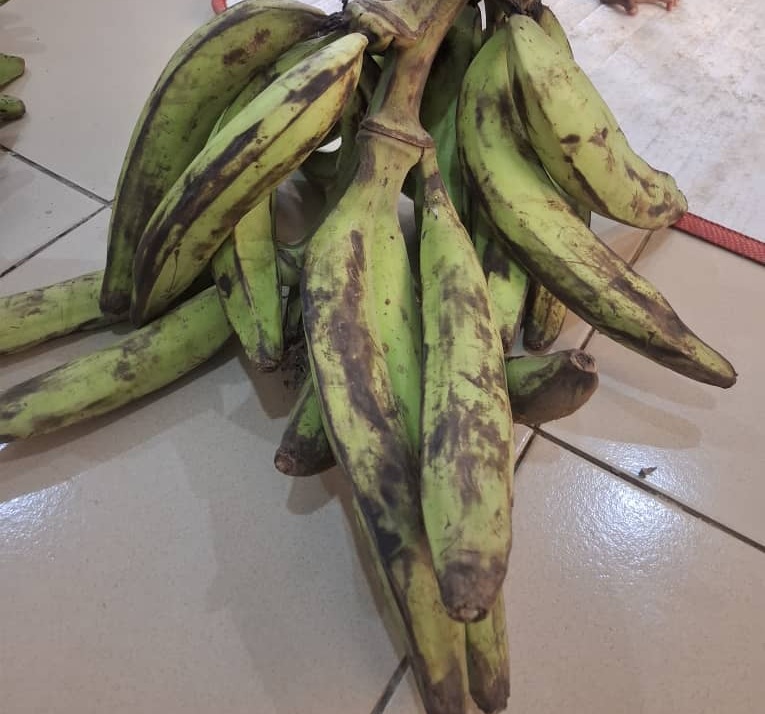 Plantain